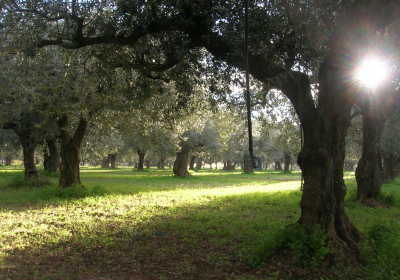 Casa Vacanze Villetta Le Antiche Macine